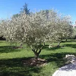 La Clastre Location D'un Avec Piscine Et Clim Pres D'uzes Homestay *