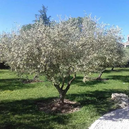La Clastre Location D'un Avec Piscine Et Clim Pres D'uzes Rum i privatbostad *